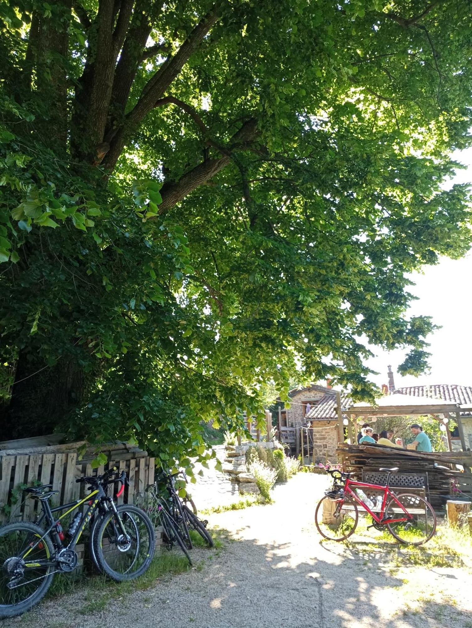 Gites Des Esselards Yzeron Exteriér fotografie